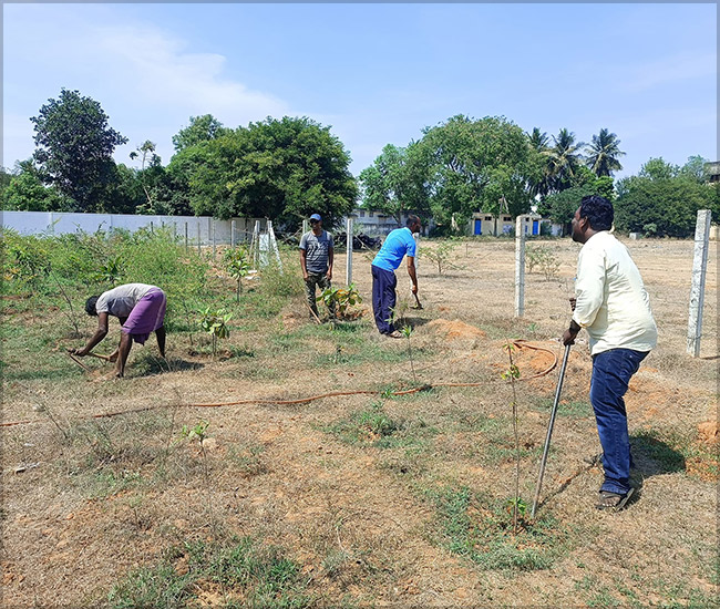 Tree Plantation Trust in Kanchipuram