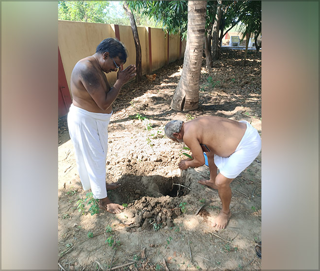 Tree Plantation Trust in Kanchipuram
