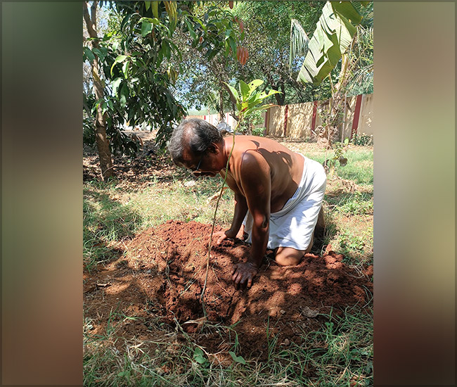 Tree Plantation Trust in Kanchipuram