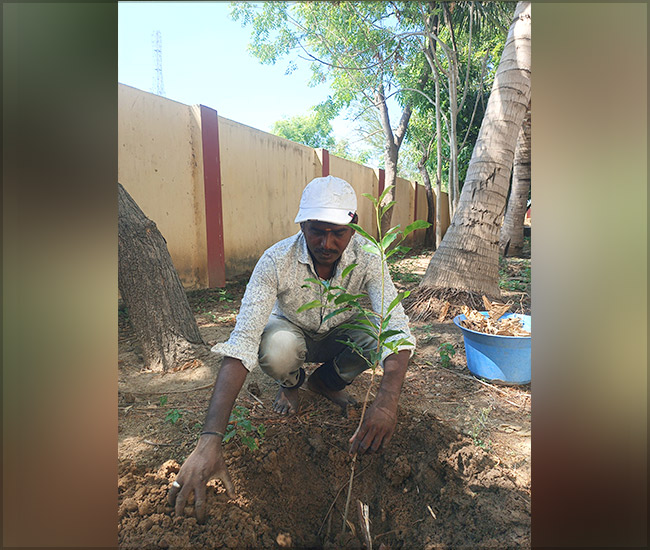 Tree Plantation Trust in Kanchipuram