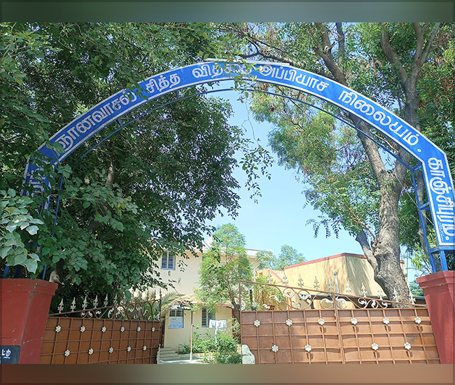 Tree Plantation Trust in Kanchipuram