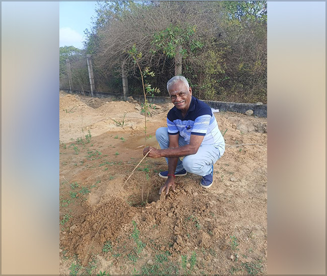 Tree Plantation Trust in Kanchipuram