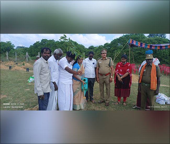 Tree Plantation Trust in Kanchipuram