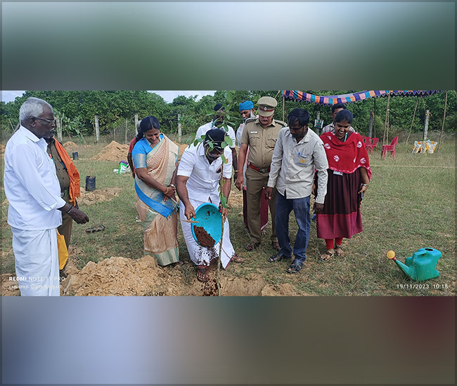 Tree Plantation Trust in Kanchipuram