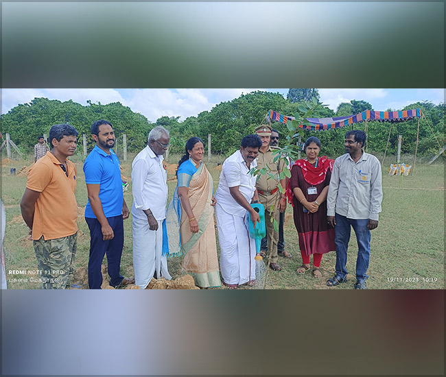 Tree Plantation Trust in Kanchipuram