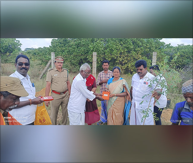 Tree Plantation Trust in Kanchipuram
