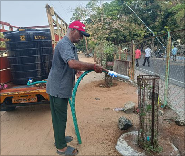 Tree Plantation Trust in Kanchipuram