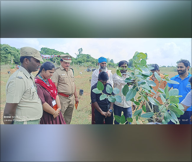 Tree Plantation Trust in Kanchipuram
