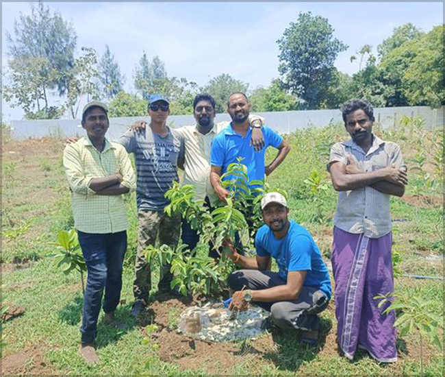 Tree Plantation Trust in Kanchipuram