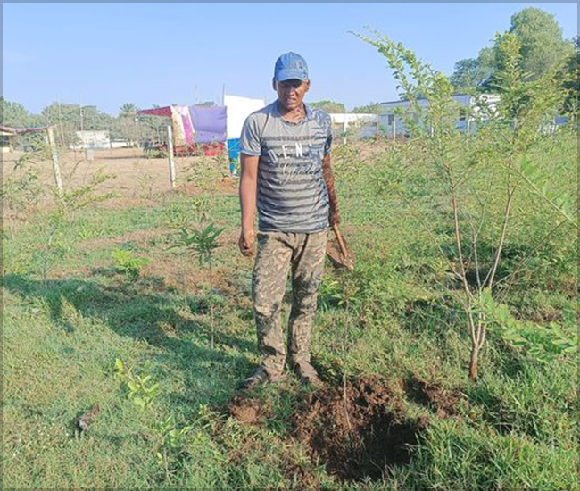 Tree Plantation Trust in Kanchipuram
