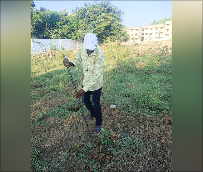 Tree Plantation Trust in Kanchipuram