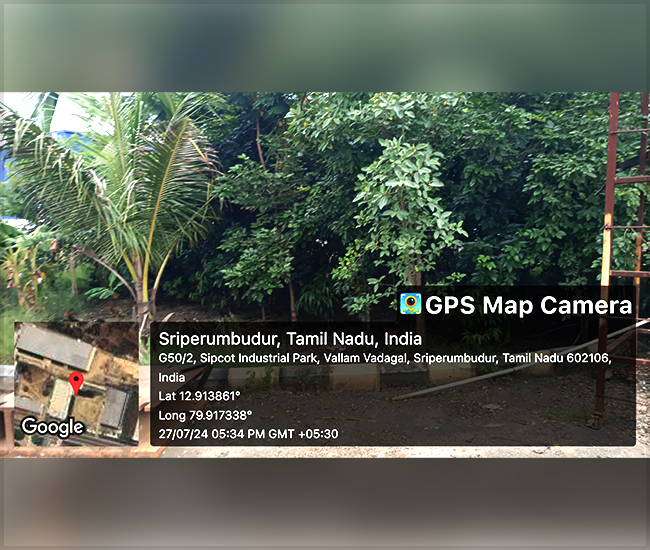 Tree Plantation Trust in Kanchipuram