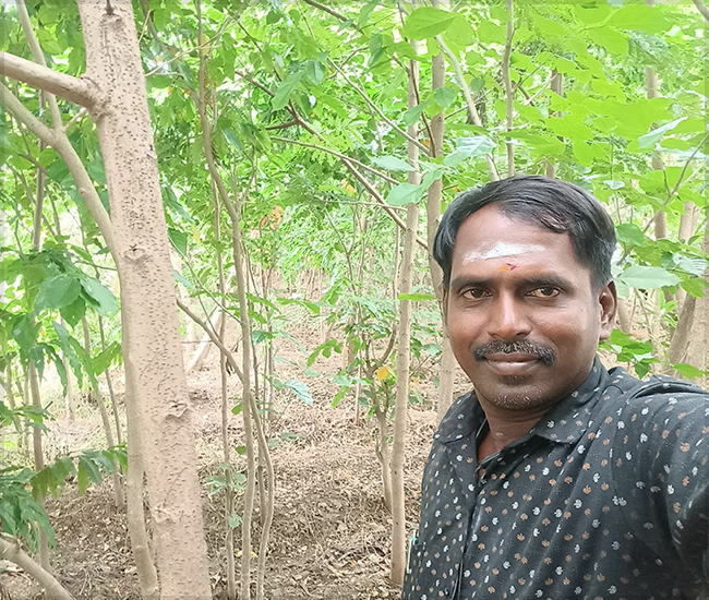 Tree Plantation Trust in Kanchipuram