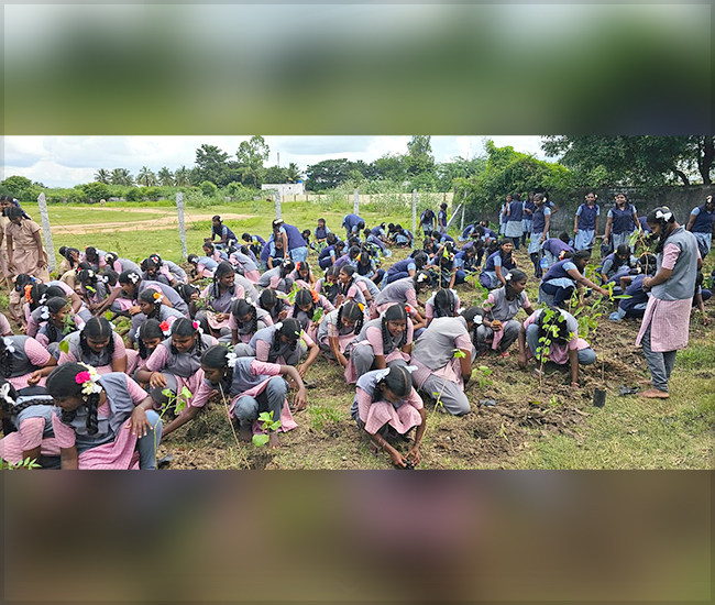 Tree Plantation Trust in Kanchipuram