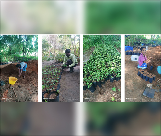 Nature Conservation Trust in Kanchipuram