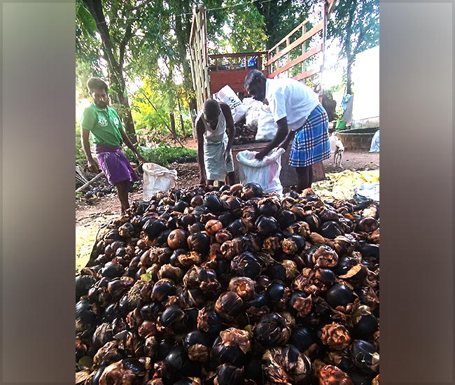 Nature Conservation Trust in Kanchipuram