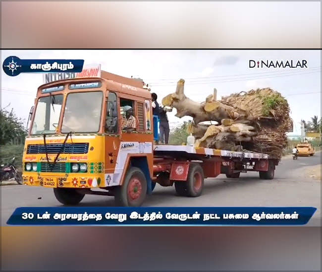 Tree Plantation Trust in Kanchipuram