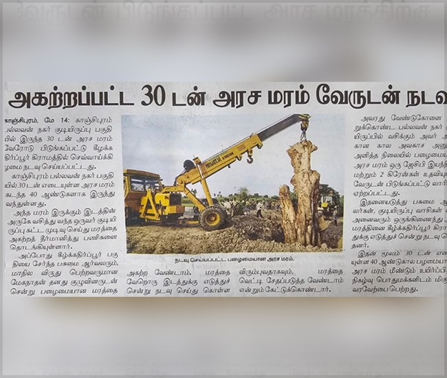 Tree Plantation Trust in Kanchipuram