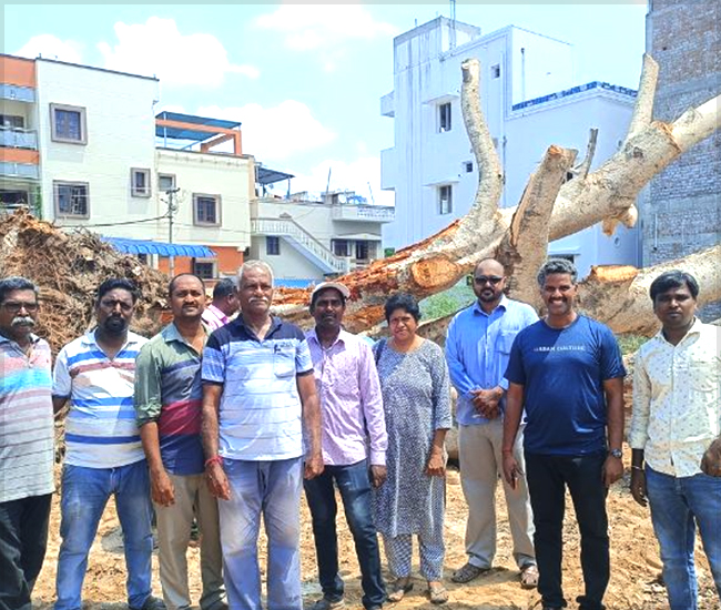 Tree Plantation Trust in Kanchipuram