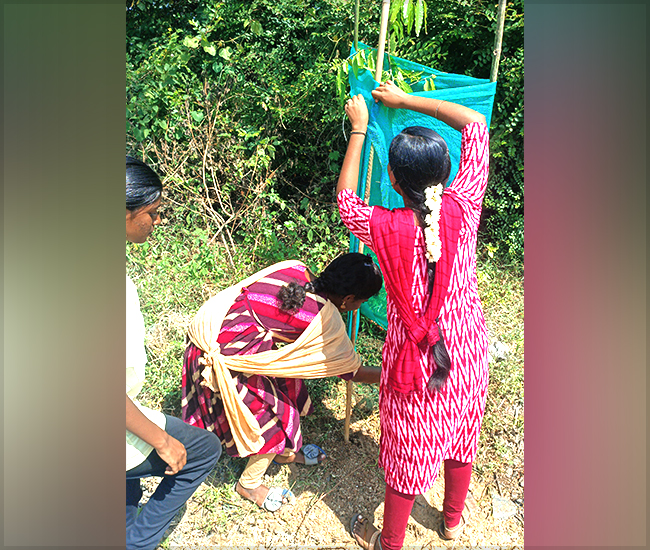 Tree Plantation Trust in Kanchipuram