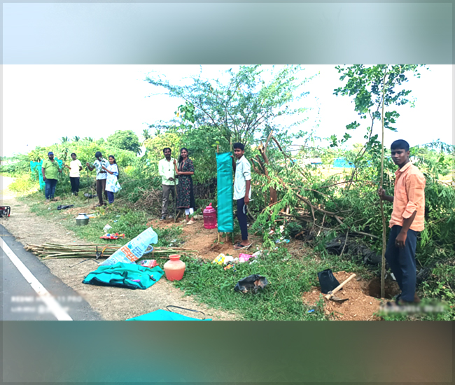 Tree Plantation Trust in Kanchipuram