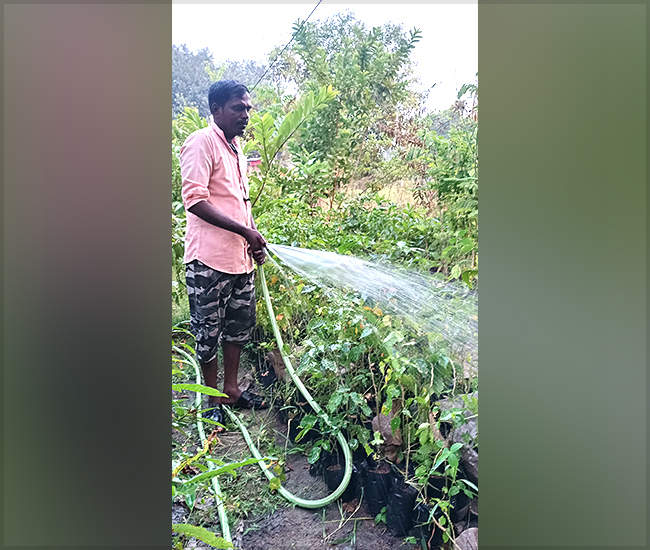 Tree Plantation Trust in Kanchipuram