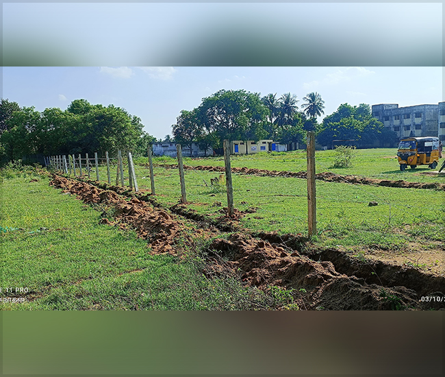 Tree Plantation Trust in Kanchipuram