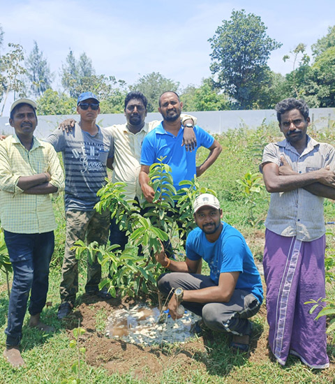 Tree Plantation Trust in Kanchipuram