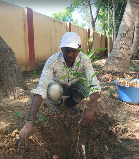 Tree Planting Charity in Kanchipuram
